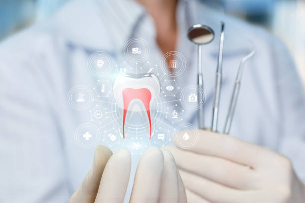 Why Choose Us for Your Dental Needs in Norridge, IL